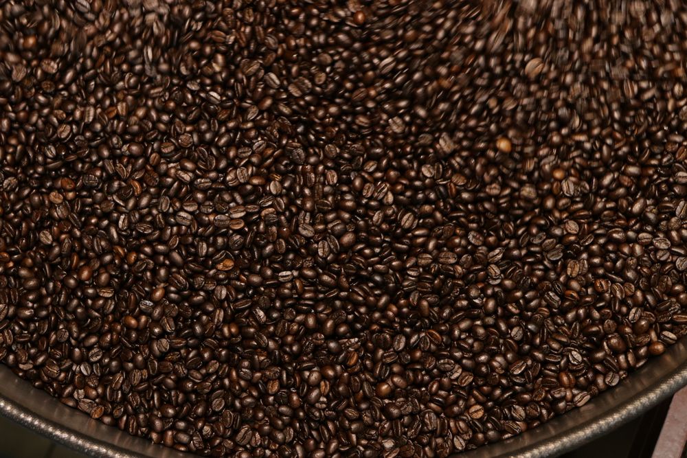 Dark roasted beans, Fuego