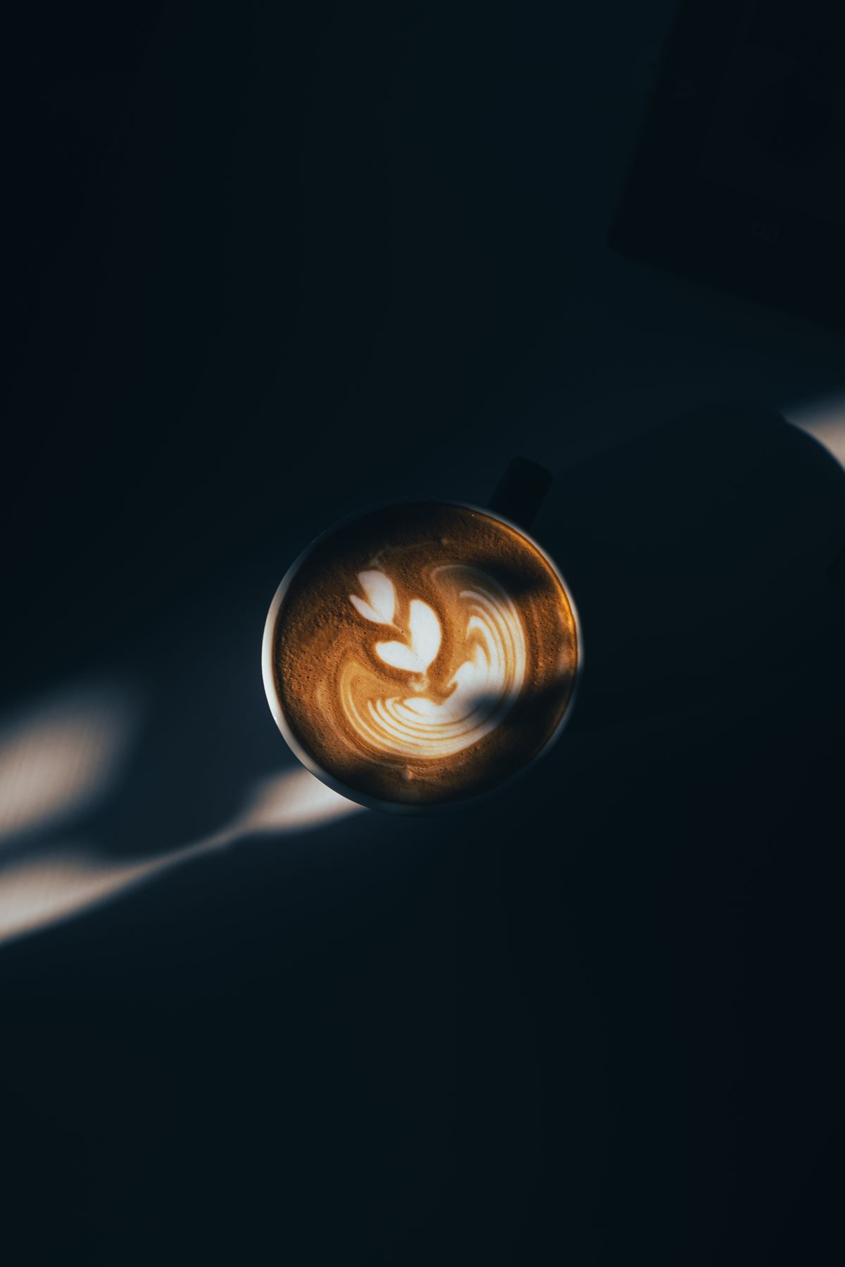 Latte art in a cup lit by a shaft of light